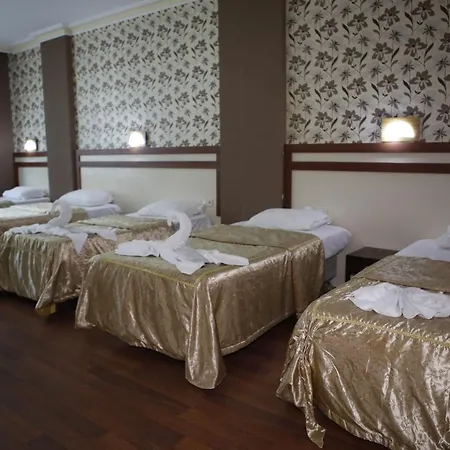 Hotel Safir